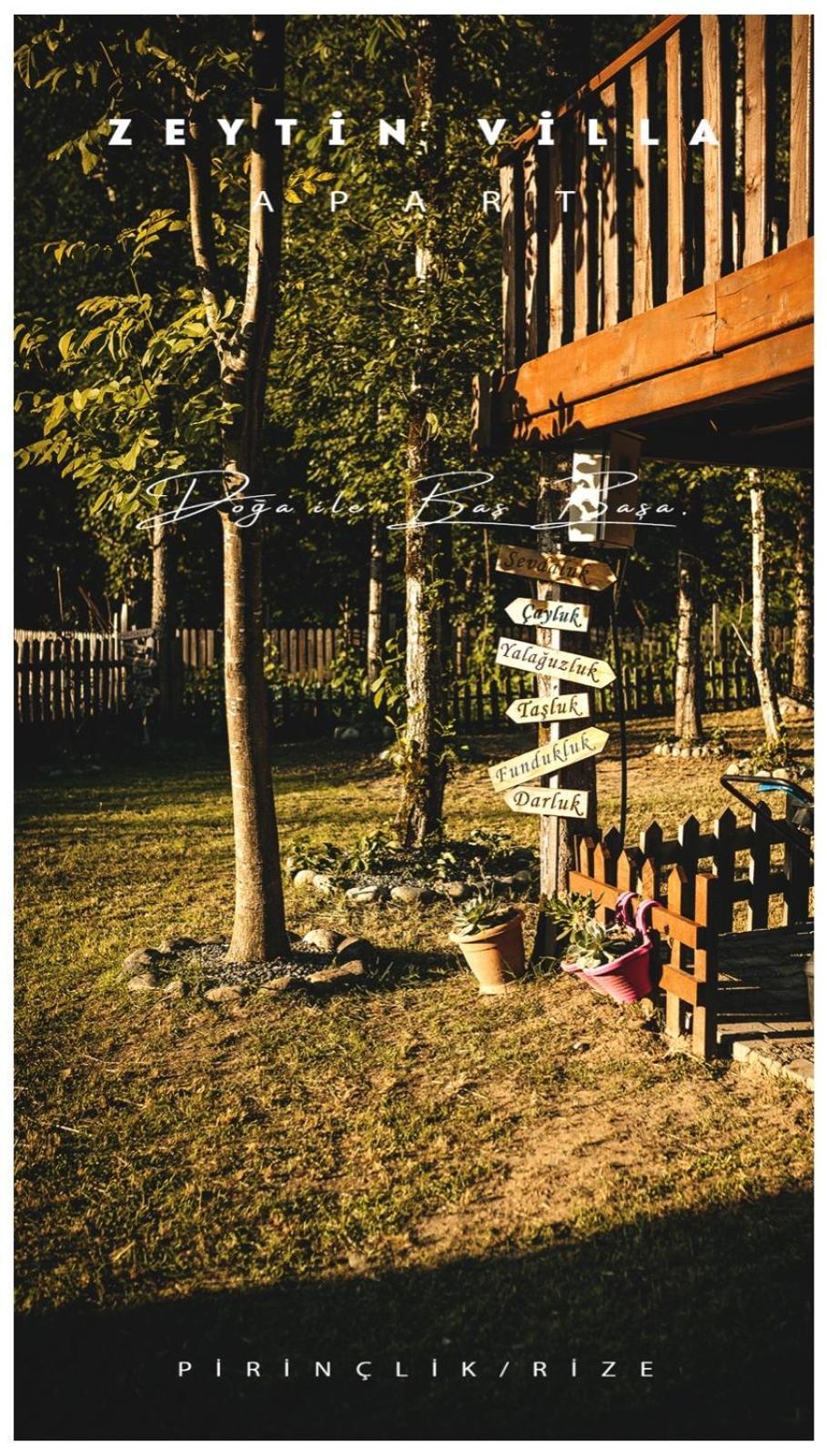 Zeytin Villa Apart Ardeşen Εξωτερικό φωτογραφία